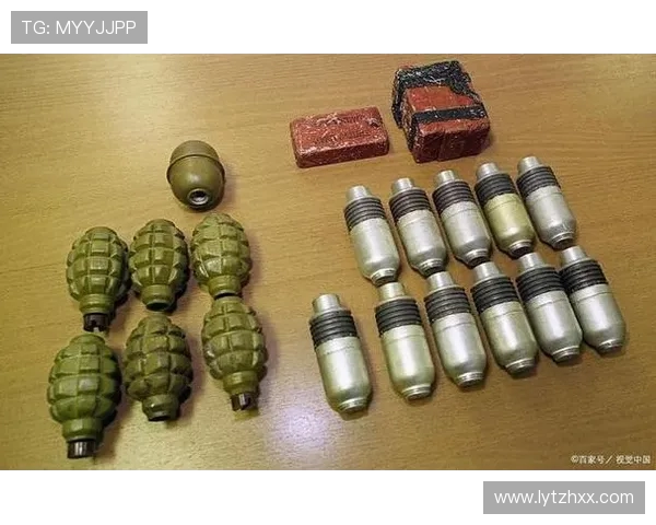 深入分析北京飞盘队的进攻策略与战术特点