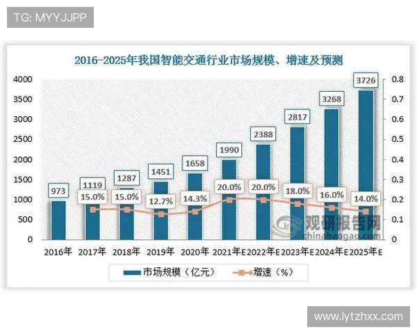 深圳排球队运营策略深度解析与发展前景展望