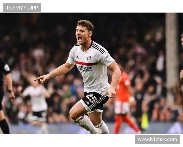 加的夫城迎战西布朗展现英冠激烈对决精彩瞬间回顾 加的夫城迎战西布朗展现英冠激烈对决精彩瞬间回顾