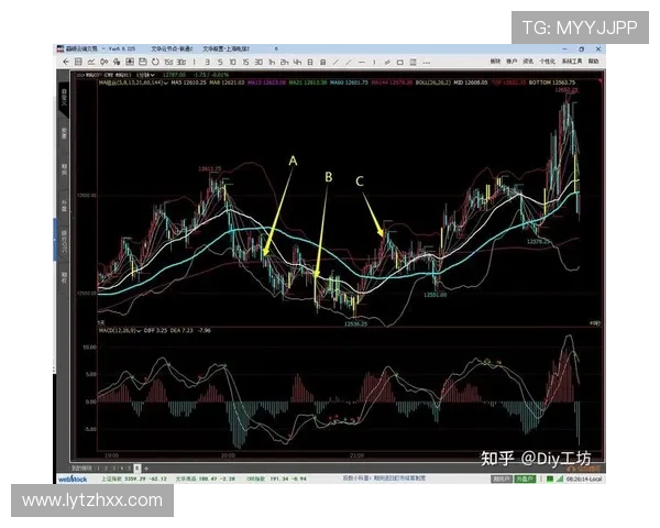 波兰与立陶宛精彩对决图文直播全程回顾与分析