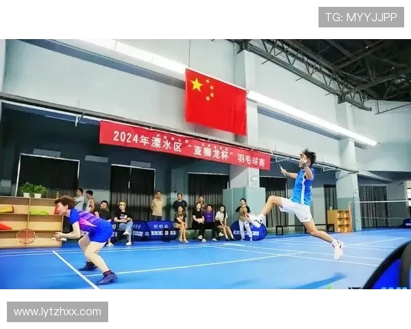 南京羽毛球队的崛起之路与锦标赛背后的奋斗故事