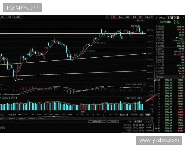 成都羽毛球队与武汉羽毛球队赛后复盘分析比赛节奏与战术对比