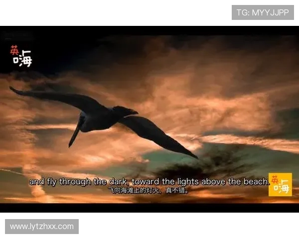 深度对话：探寻黄伟在英雄联盟中的成长与挑战之路