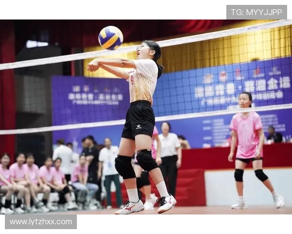 广州排球队的团队协作之道：探索排球运动中的默契与配合技巧