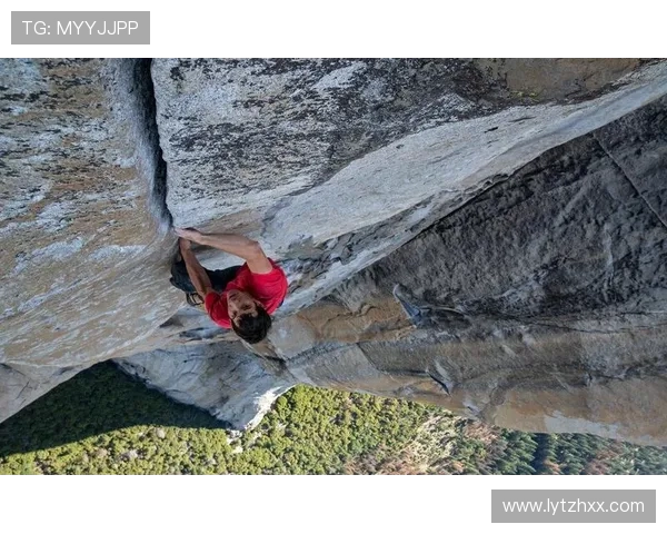 杭州极限运动队在世界攀岩锦标赛中的战术分析与表现评估